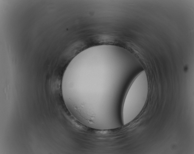 X0000093730281200710160820
