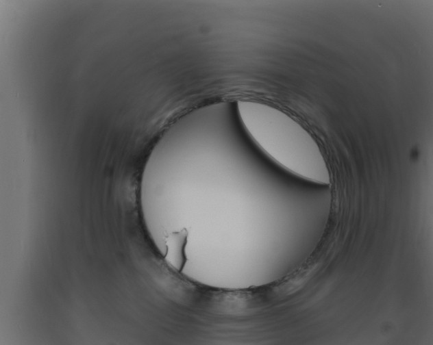 X0000093730282200710160820