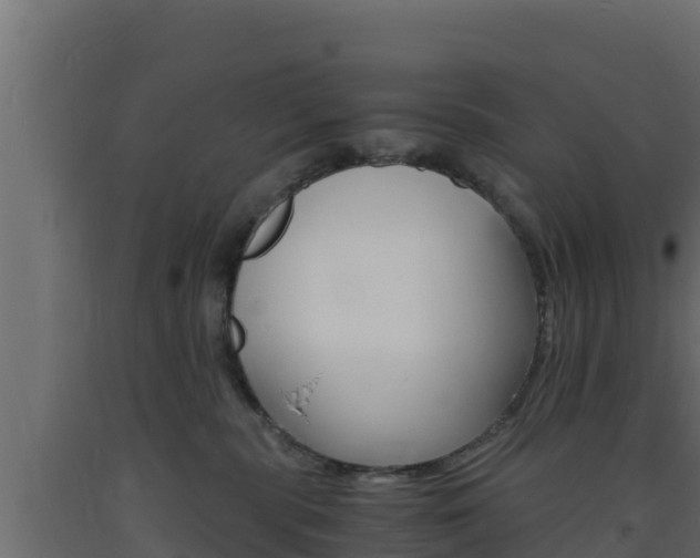 X0000093730283200710160820