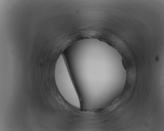 X0000093730284200710160820