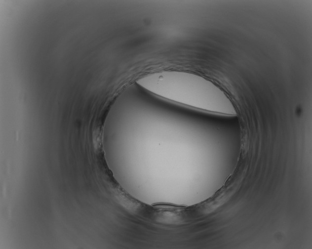 X0000093730285200710160820