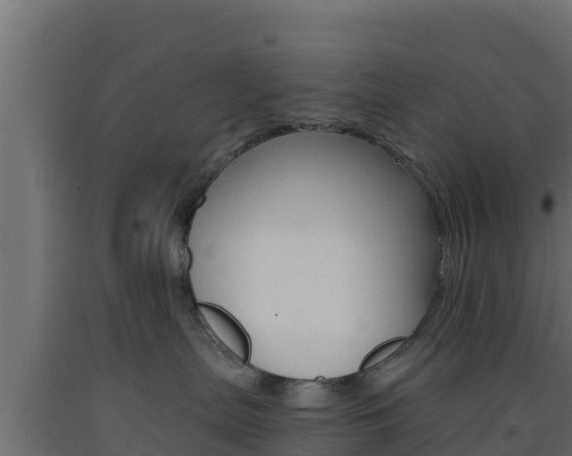 X0000093730287200710160820