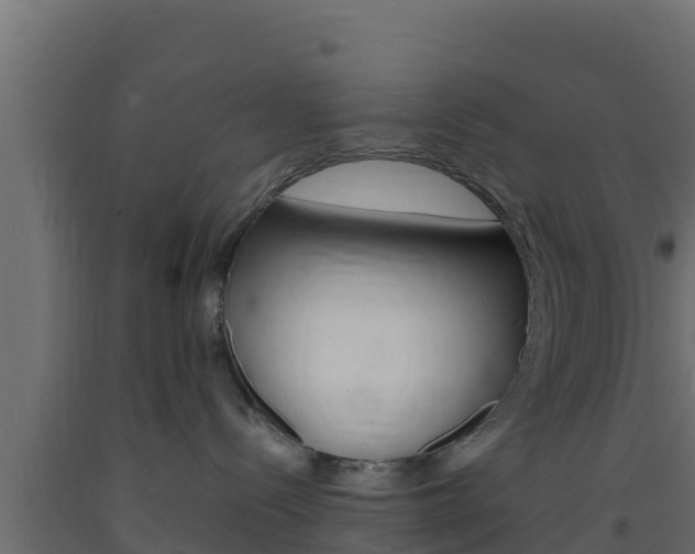 X0000093730288200710160820