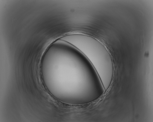 X0000093730289200710160820