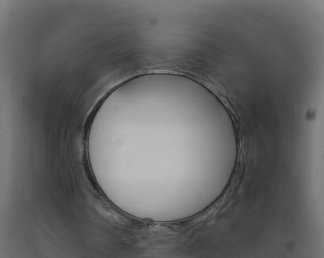 X0000093730290200710160820