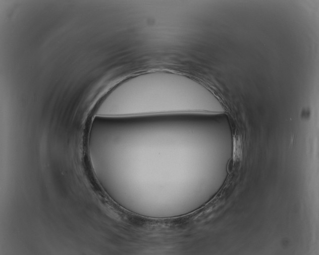 X0000093730291200710160820