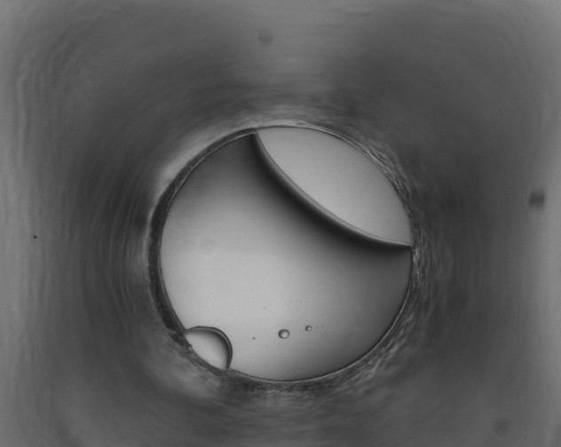 X0000093730292200710160820