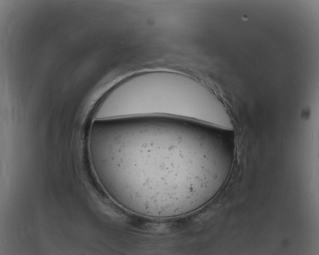 X0000093730295200710160819