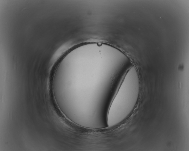 X0000093730296200710160819