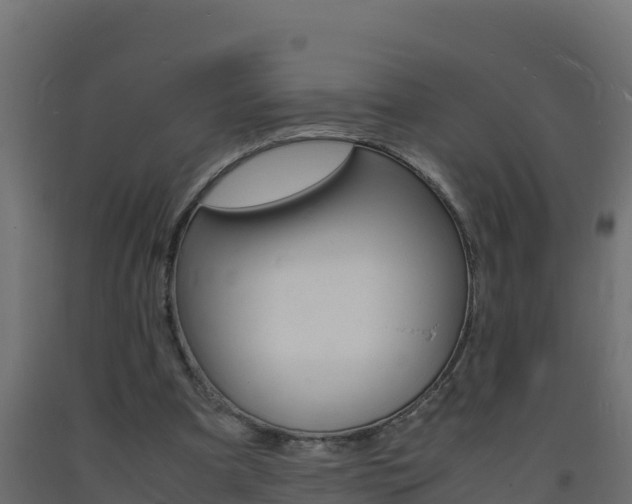 X0000093730297200710160819