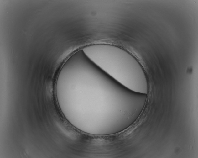 X0000093730298200710160819