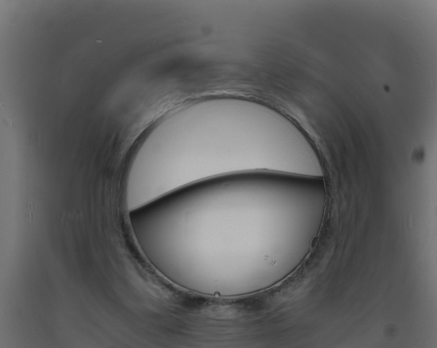 X0000093730299200710160819