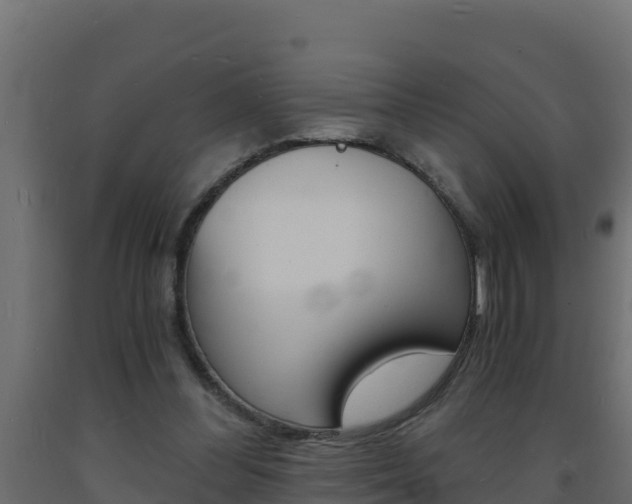 X0000093730300200710160819