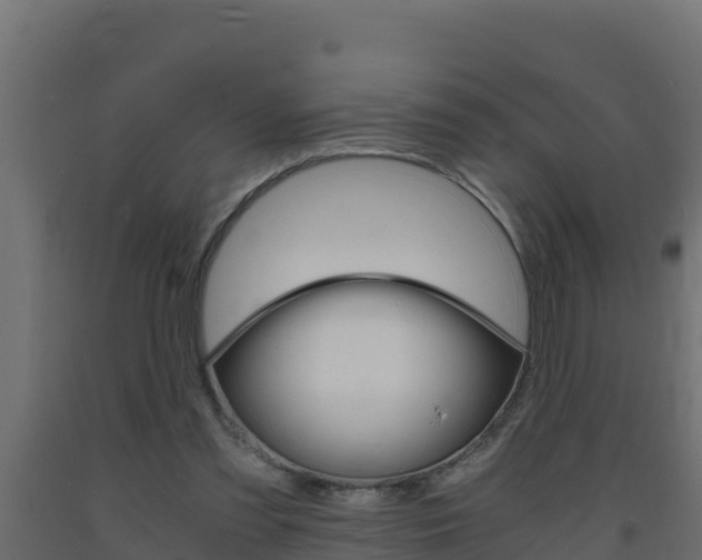 X0000093730301200710160819