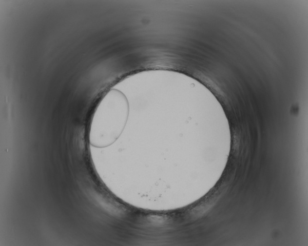 X0000093730302200710160819