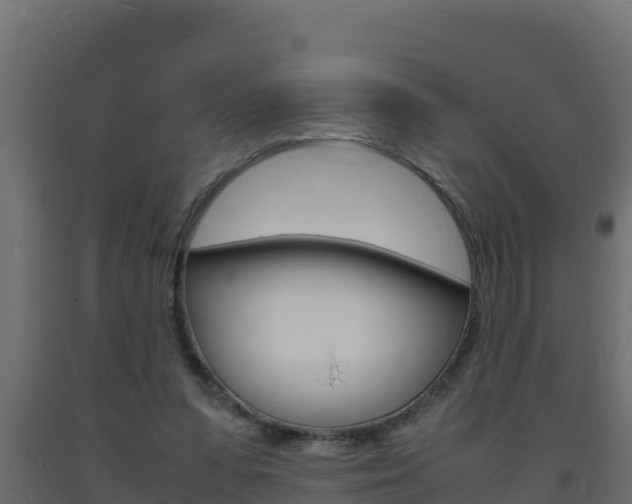 X0000093730303200710160819