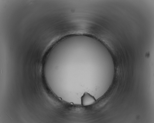 X0000093730304200710160819
