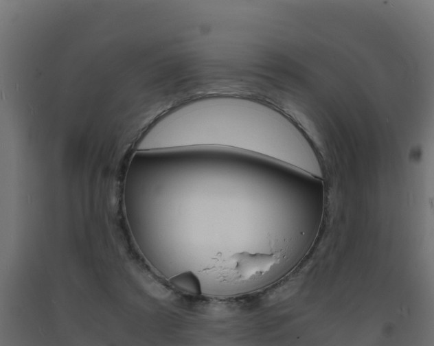 X0000093730305200710160819