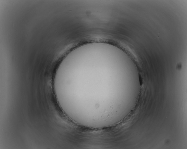 X0000093730306200710160819