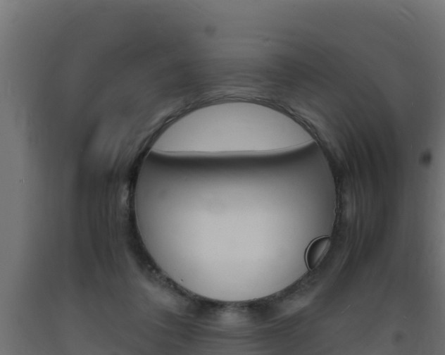 X0000093730308200710160819