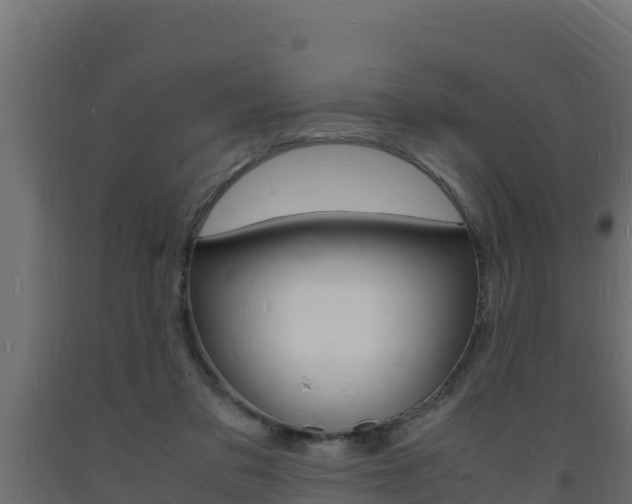 X0000093730309200710160819