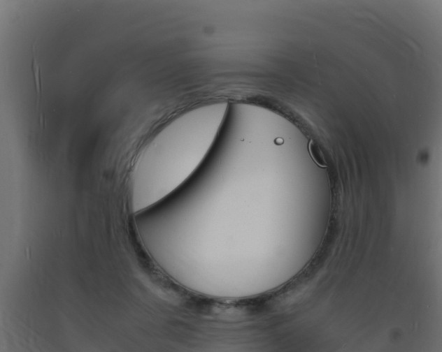 X0000093730311200710160819