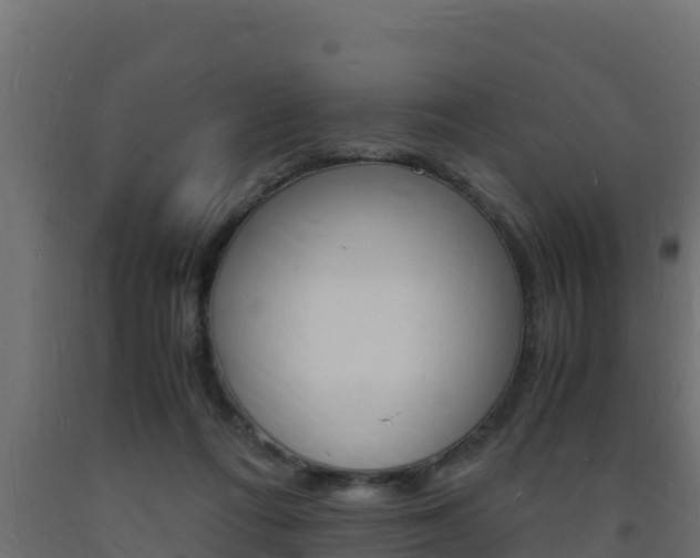 X0000093730312200710160819