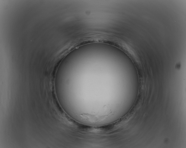 X0000093730313200710160819