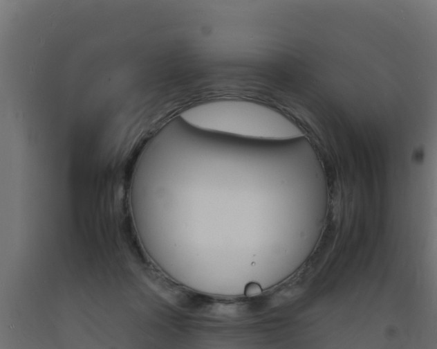 X0000093730314200710160819