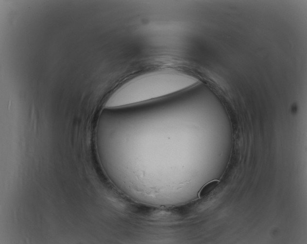 X0000093730315200710160819