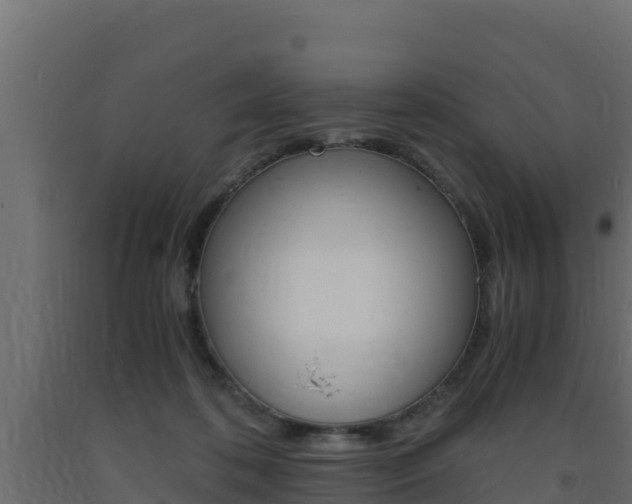 X0000093730316200710160819