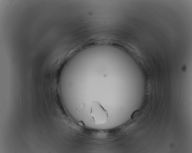 X0000093730318200710160819