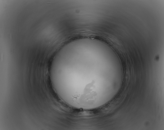 X0000093730320200710160819