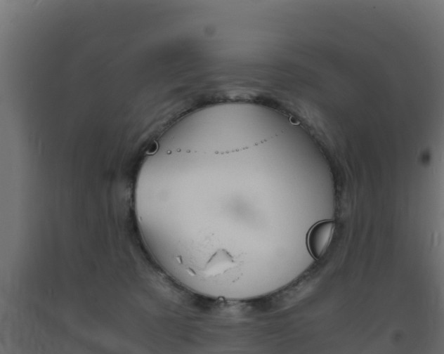 X0000093730321200710160819