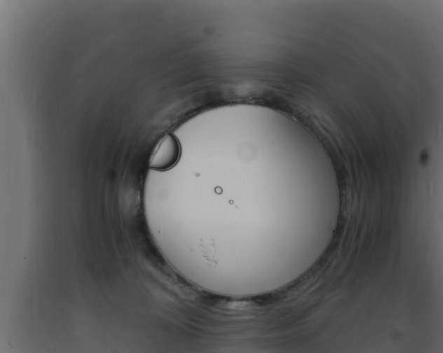 X0000093730324200710160819