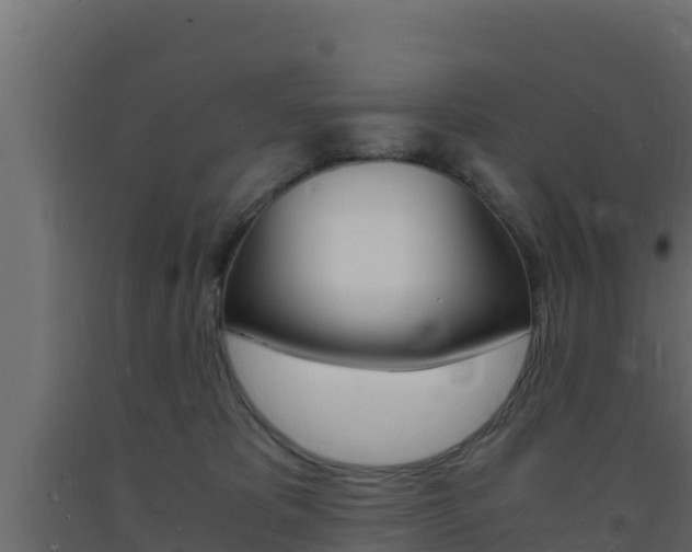 X0000093730325200710160819