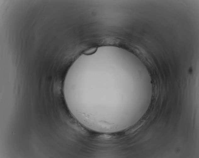 X0000093730326200710160819