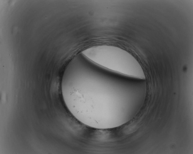 X0000093730328200710160819