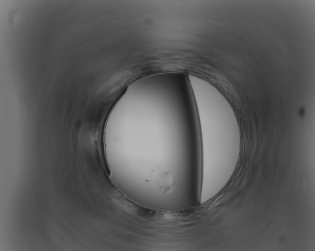 X0000093730329200710160819