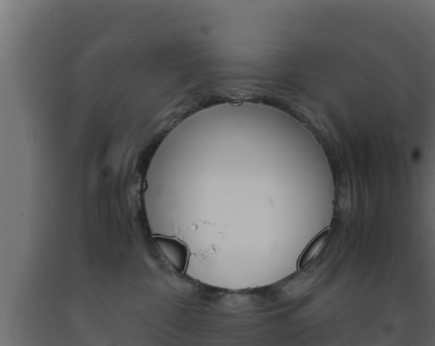 X0000093730332200710160819