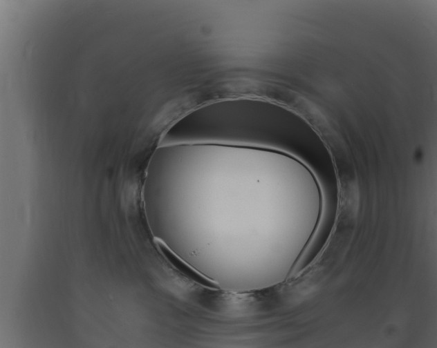 X0000093730333200710160819