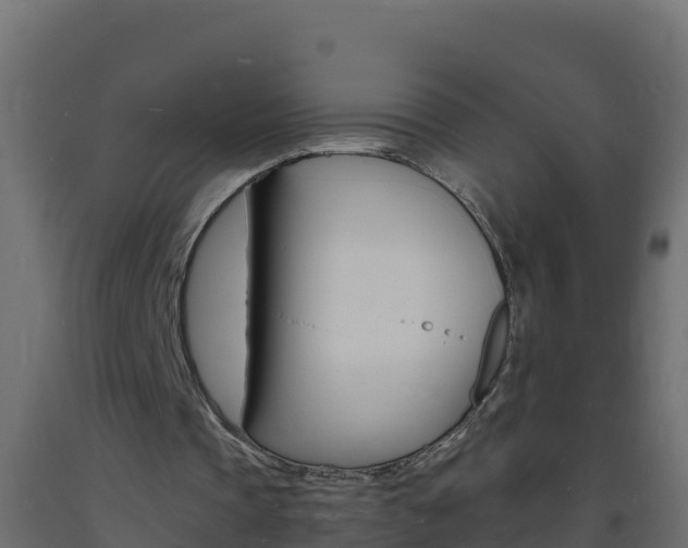X0000093730337200710160818