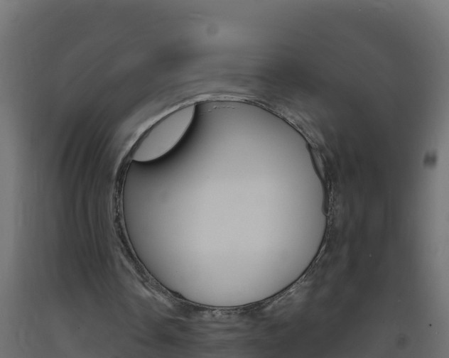 X0000093730338200710160818