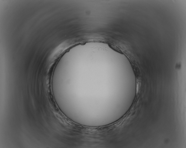 X0000093730339200710160818