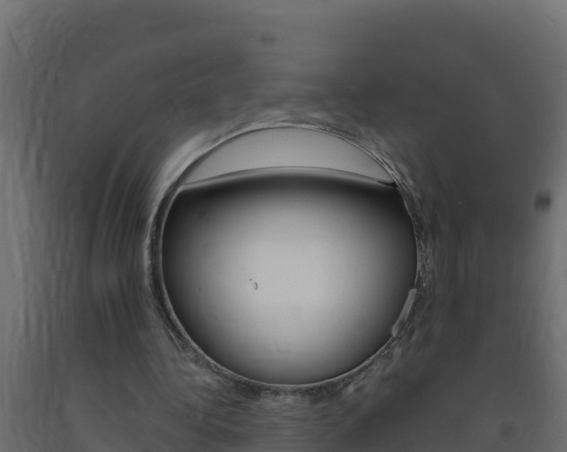 X0000093730340200710160818
