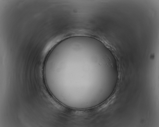 X0000093730341200710160818