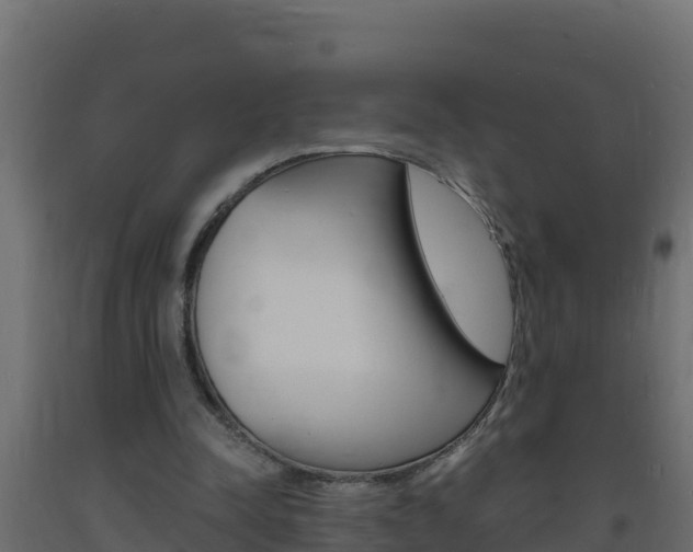 X0000093730342200710160818
