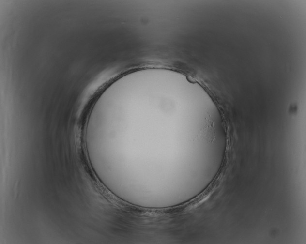 X0000093730343200710160818