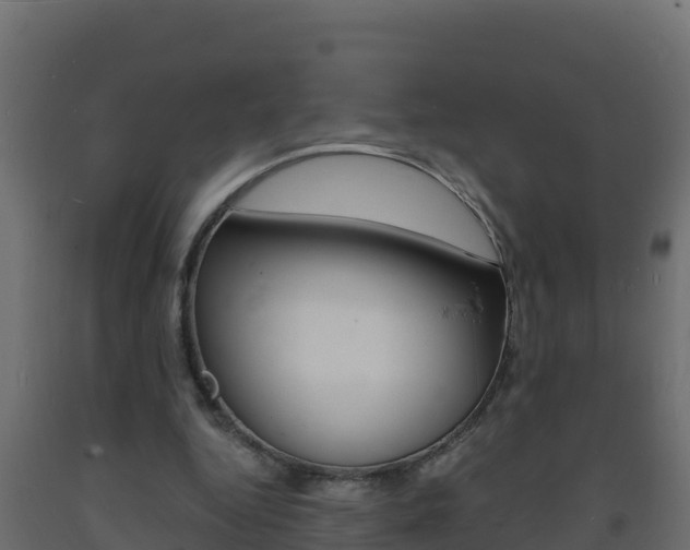 X0000093730344200710160818