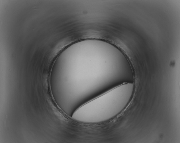 X0000093730345200710160818